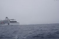 
DSC00219